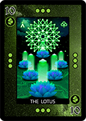 The Lotus Green Small