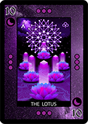 The Lotus Purple Small